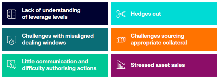 Outline issues pension schemes may have had as a result of the LDI mandate crisis